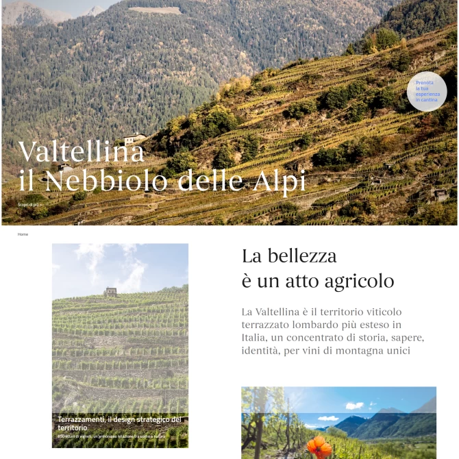 Consorzio Vini Valtellina